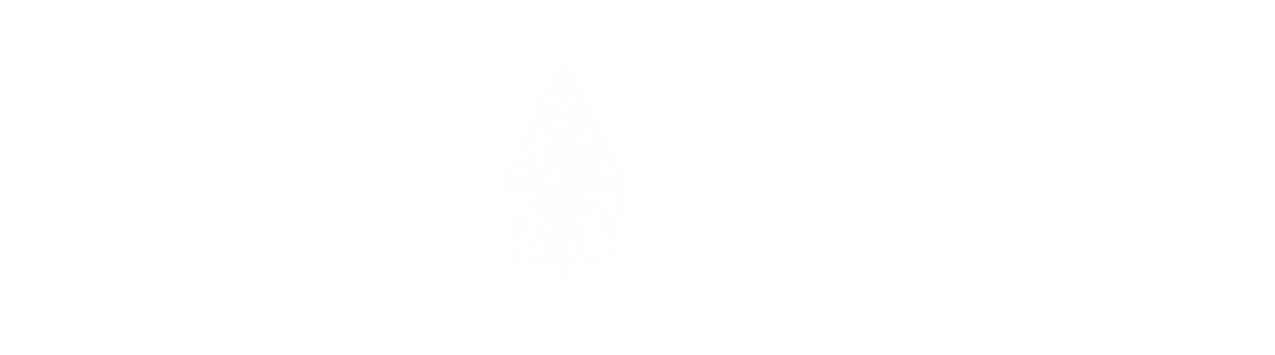 logo betasyania3