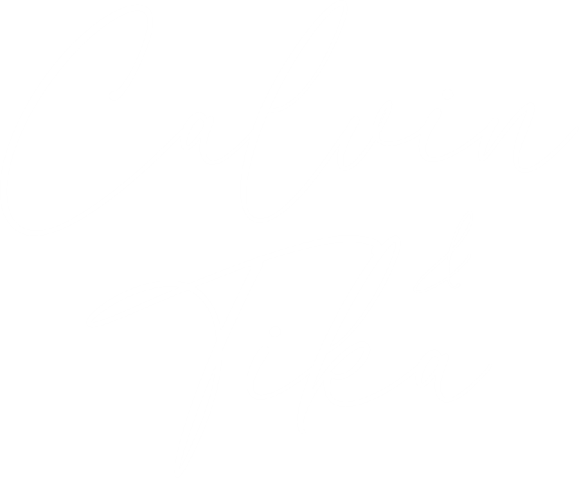logo calvintika
