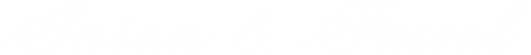 logo intanfaisal2