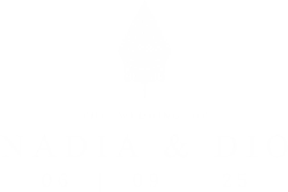 logo nadiadio3