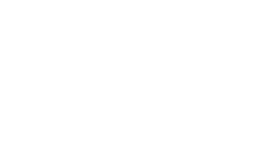 logo dianimaryadi2 logo dianimaryadi2