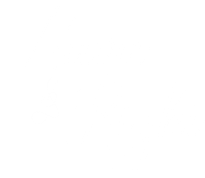 logo navarizki2