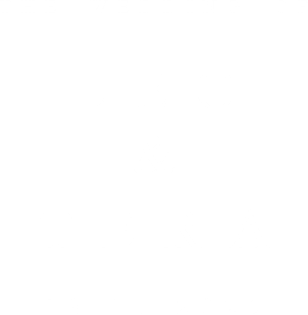 logo leotera logo leotera