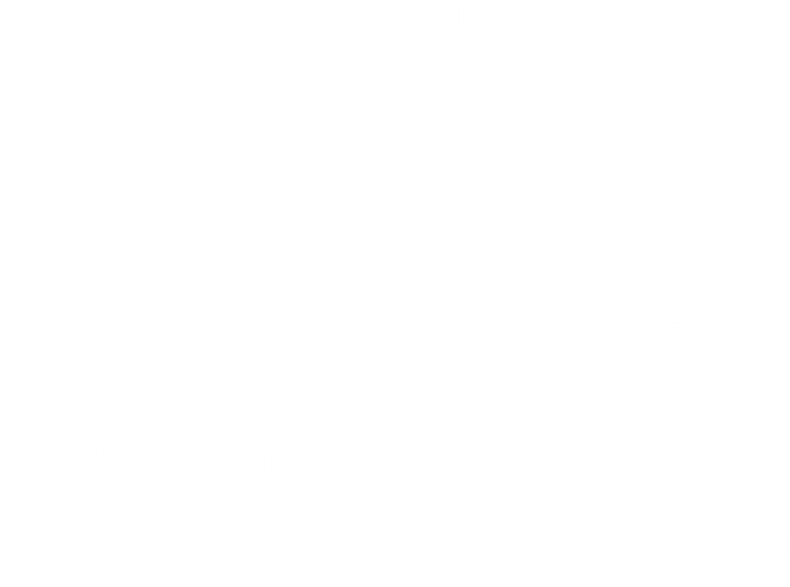 logo amelufiq