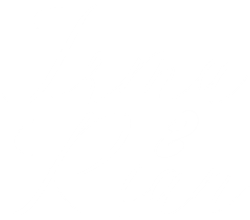 logo vindiraanom2