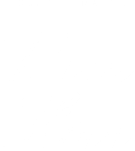 logo vindiraanom