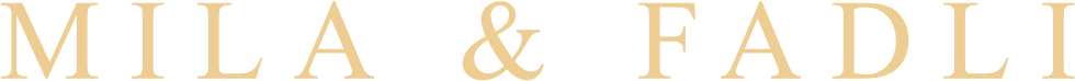 logo shintadeni2