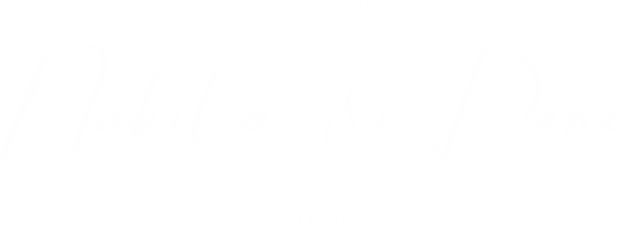 logo disyaary